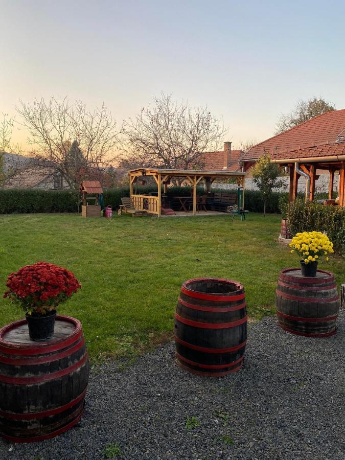 Hotel Zimmer Feri Vendeghaz Abaújszántó Exteriér fotografie